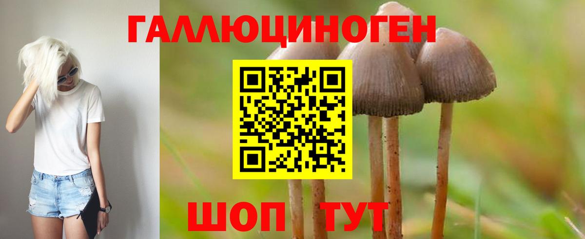 Галлюциногенные грибы ЛСД Зеленодольск